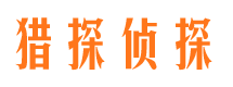 卢氏找人公司